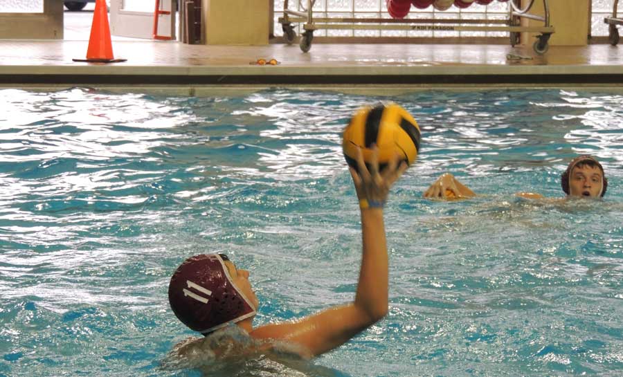 B_Staller20130827_WaterPolo0044