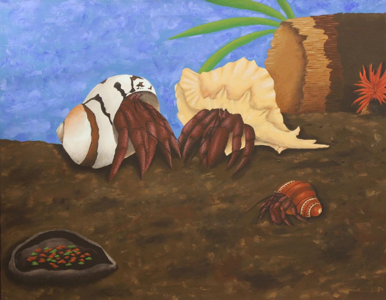 Hermit+Crabs+by+Chloe+Kline.+Done+in+acrylic.