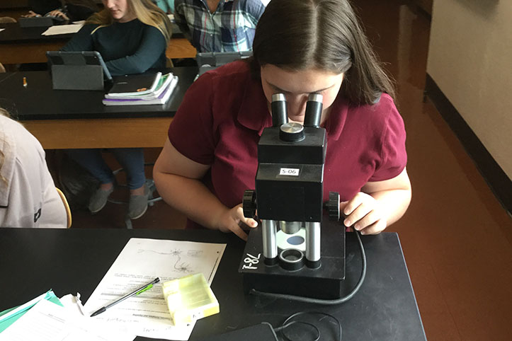 During a lab activity where students researched different bacteria shapes, junior Victoria Oswald peers into a microscope to observe bacteria examples. Oswald was one of 56 students who were accepted to the Pennsylvania Governor’s School for the Sciences out of 302 applicants. “I wanted to do something over the summer to show colleges that I love science, and I want to expand my horizons,” Oswald said.