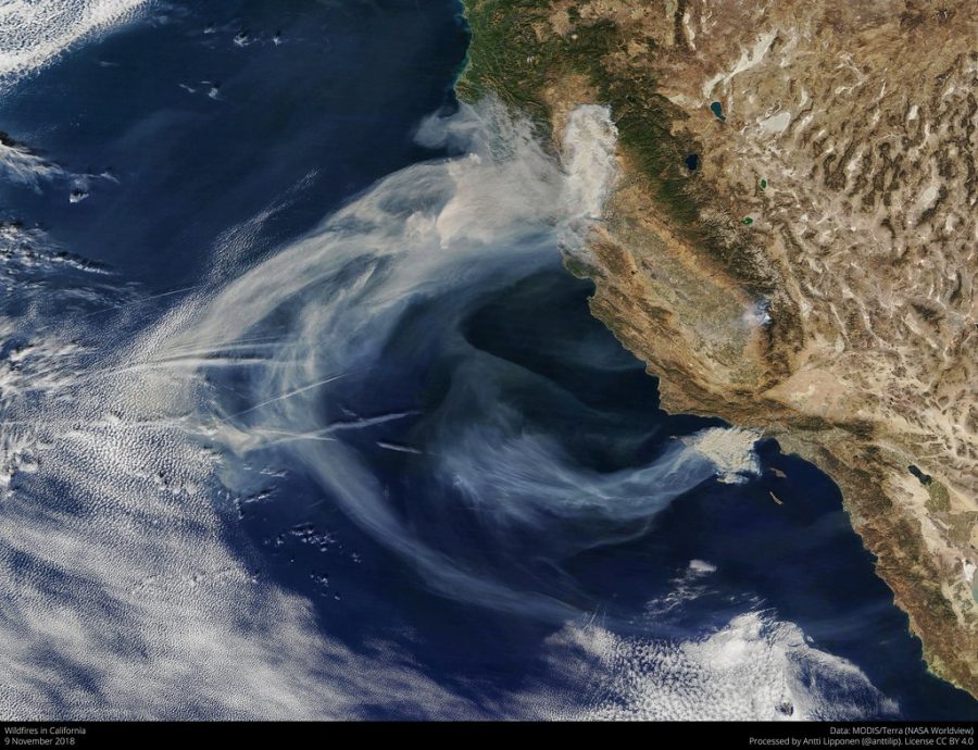 This satelite image shows Californias wildfires from an aerial view. 