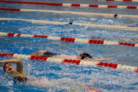 Diving into the 2019-2020 Swim Season