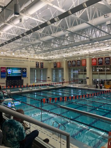 Swim and Dive States Cancelled
