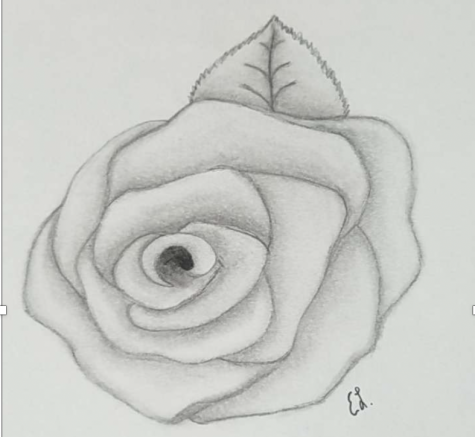 It may be a hectic time in quarantine, and some people like to relax and draw. Emily Lucas likes to draw flowers.