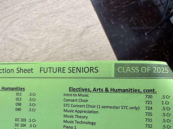 The “Future Seniors” schedule and just a sample of classes available. “I’m happy about the fact that we will be picked first for the classes we want to take,” said junior Elizabeth Ortiz. 